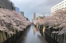 A Dreamy and Delicious Day in Tokyo