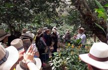 Coffee tour & rum tasting