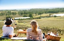 Audrey Wilkinson Vineyard: Picnic with Wine Masterclass Tasting