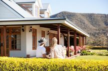 Audrey Wilkinson Vineyard: Picnic with Wine Masterclass Tasting