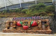Cameron Highlands Tour From Kuala Lumpur (Private Tour)