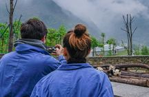 a better Panda Volunteer Experience at the Best panda base - WOLONG