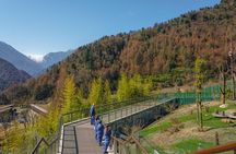 a better Panda Volunteer Experience at the Best panda base - WOLONG