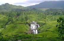 Nuwaraeliya Day Tour & Kithulgala Water Rafting from Kandy,Colombo or Ella