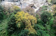 Annapurna Trekking