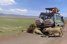 Amazing 2 days Tanzania Safari