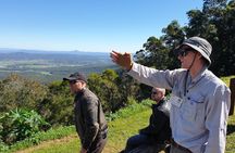 O'Reilly's Lamington and Tree Top Canopy Tour from Brisbane