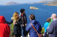 Cape Sounio Temple of Poseidon Half Day Private Tour