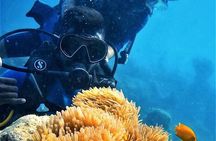 Boat Scuba Diving at Neil Island