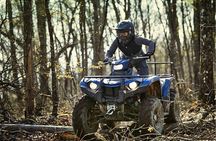 PREMIUM Quad Tours