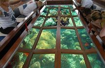 Glass Bottom Boat Excursion in Sharm El Sheikh