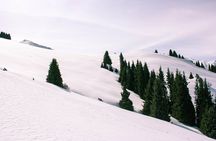 1-day Backcountry Tour