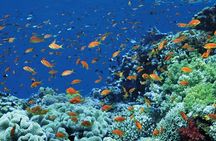 Egypt Culture Tour and Beach Holiday Combined Package 11 Days with Flights Inc