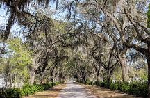 Savannah VIP Tour: Private Full-Day Tour