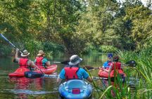 Kayak Swamp Tour with Transportation from New Orleans