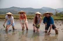 Luang Prabang: Kuang Si Waterfall & Rice Farm Tour