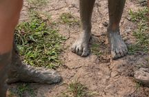 Luang Prabang: Kuang Si Waterfall & Rice Farm Tour