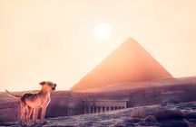 Pyramids of Giza & Sphinx & valley temple Tour with Camel Ride & Egyptian lunch
