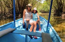 Boat Ride-Gentle Beach Beach Horseback Ride+Lunch-Crocs-Turtles
