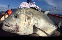 Fishing Trips. Popping, jigging, big game, live bait
