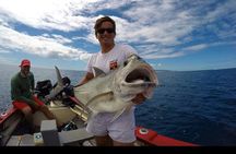 Fishing Trips. Popping, jigging, big game, live bait