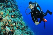 Sharm El-Sheikh: Red Sea Scuba Diving Day Trip