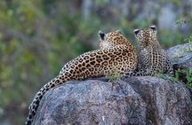 6 Days Wildebeest Migration Safari