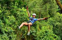 Ocean View Canopy Zip line + Chocolate Experience