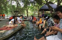 San Kamphaeng Hot Springs and Thai Handicraft Tour from Chiang Mai