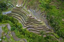 Ubud Top Attractions: Waterfalls, Temples and Rice Terraces
