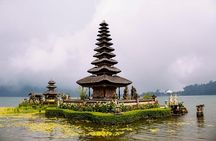 Full Day Tour: Jatiluwih Rice Terrace Tour by Volkswagen (VW)