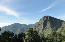 Private 5-Day-Highlights-Tour Around Sri Lanka