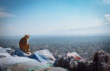 3 Major Buddhists Pilgrimage Private Tour in Kathmandu.