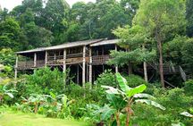 Sarawak Cultural Village Tour from Kuching