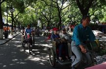 Private Suzhou Day Tour from Shanghai to Classical Gardens and Tongli Water Town