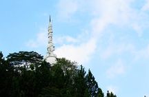 Private 6-Day-Highlights-Tour Around Sri Lanka