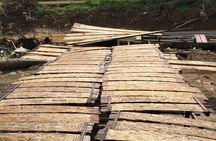 Private Excursion to Battambang