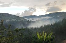 12 Day Affordable Safari-Gorilla and Primate Track Uganda