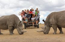 Full-Day Ol Pejeta Conservancy and Chimpanzee Sanctuary Tour from Nairobi
