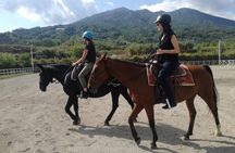 Horse Riding on Mount Vesuvius