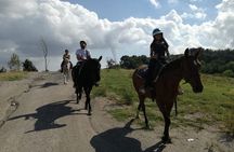 Horse Riding on Mount Vesuvius
