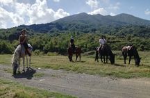 Horse Riding on Mount Vesuvius