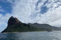 Cape of Good Hope, Table Mountain & Penguins Private Tour from Cape Town