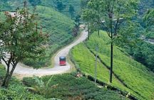 Kandy Nature & Culture Tour