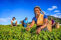 Kandy Nature & Culture Tour