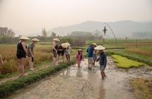 Living Land Rice Farming Experience