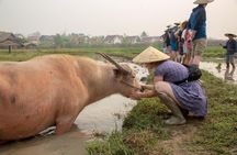 Living Land Rice Farming Experience