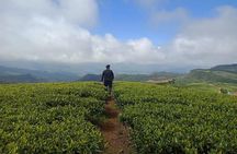 A Day in Nuwara Eliya: Sights & Local Delights