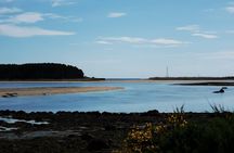 Way Up North Invergordon Shore Excursion-Castle Tickets Included