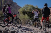 Mountain biking in the surroundings of Tilcara